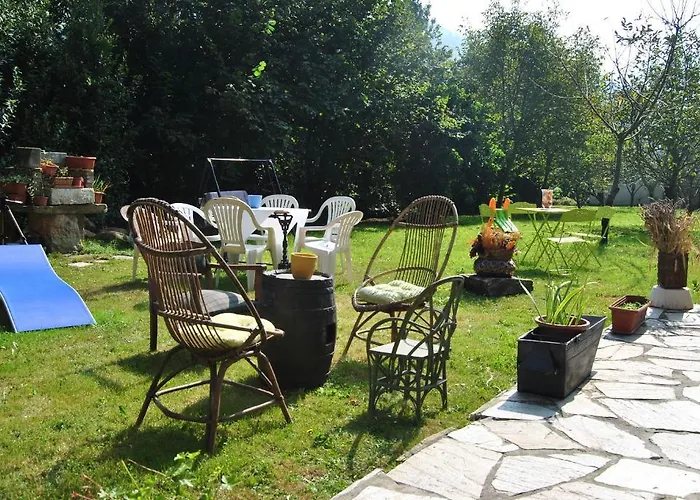 El Musgoso 호스텔 리어게인즈