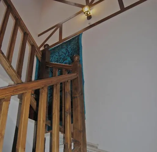 El Musgoso 호스텔 *