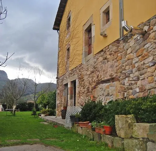 El Musgoso 리어게인즈